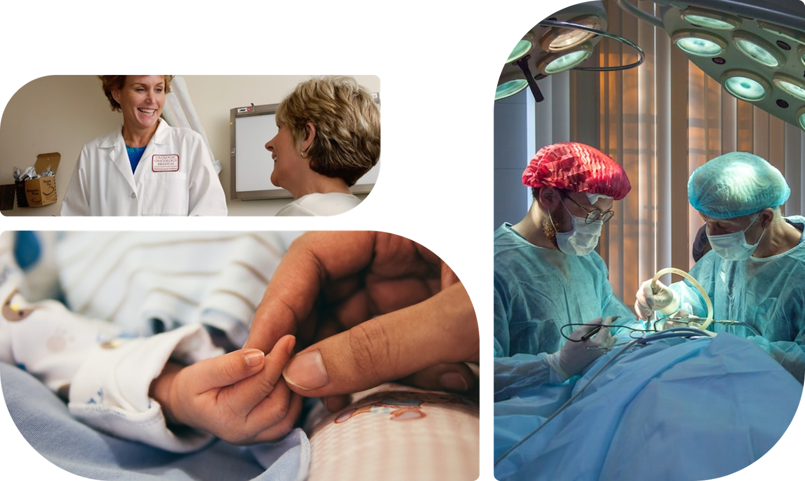 Medical professionals in discussion